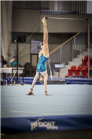 MČR 2016 ve sportovní gymnastice