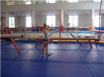 Gymnastická hala Sokol Brno I