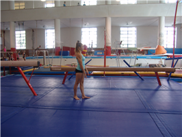 Gymnastic hall Sokol Brno I