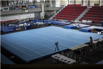 Gymnastic carpets and exercise floor