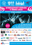 2016 Campionato in ginnastica artistica
