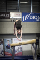 2016 Championship in artistic gymnastics