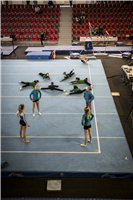 2016 Championship in artistic gymnastics