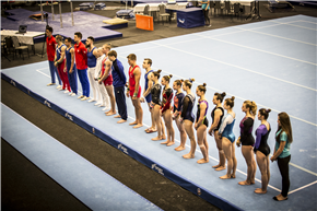 2016 Campionato in ginnastica artistica