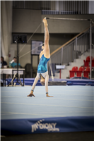 2016 Championship in artistic gymnastics