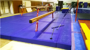 Gymnastic hall Sokol Brno I