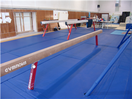 Gymnastic hall Sokol Brno I