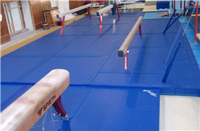 Gymnastic hall Sokol Brno I