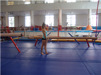 Gymnastic hall Sokol Brno I