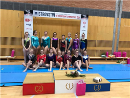 Mistrovství ČR ve sportovní gymnastice