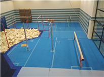 Carpet mats for gymnastic equipments